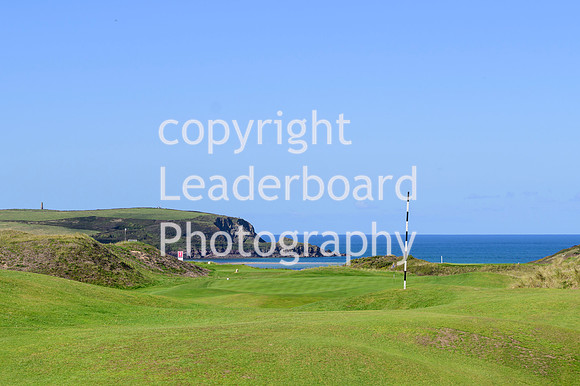 NZ9_5591