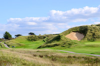 NZ9_5655