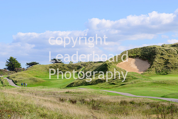 NZ9_5655