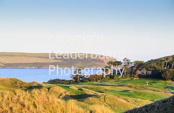 NZ9_6185