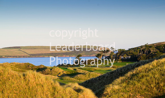 NZ9_6205