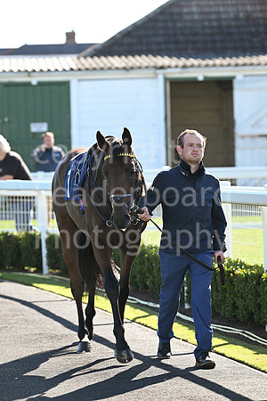 Gt_Yarm_Mon_6th_Oct_2025-1