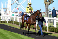 Gt_Yarm_Mon_6th_Oct_2025-8