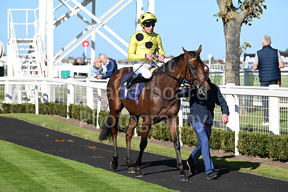 Gt_Yarm_Mon_6th_Oct_2025-8