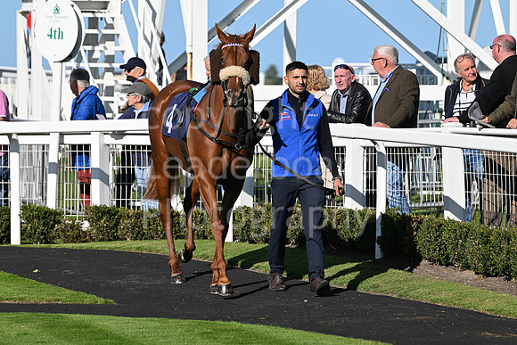 Gt_Yarm_Mon_6th_Oct_2025-32
