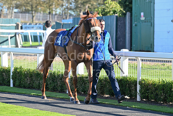 Gt_Yarm_Mon_6th_Oct_2025-31