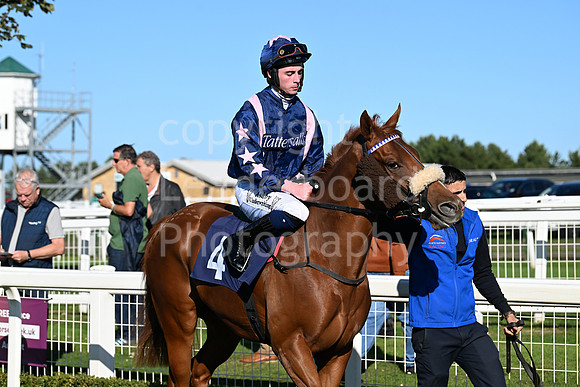 Gt_Yarm_Mon_6th_Oct_2025-47