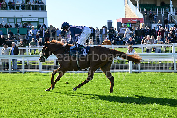 Gt_Yarm_Mon_6th_Oct_2025-67