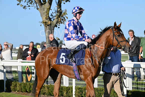 Gt_Yarm_Mon_6th_Oct_2025-110