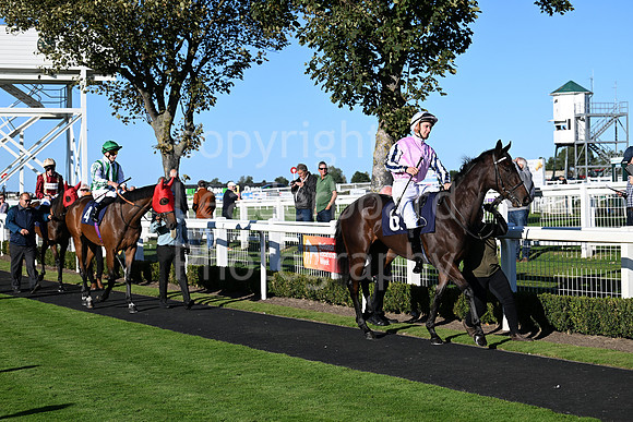 Gt_Yarm_Mon_6th_Oct_2025-114