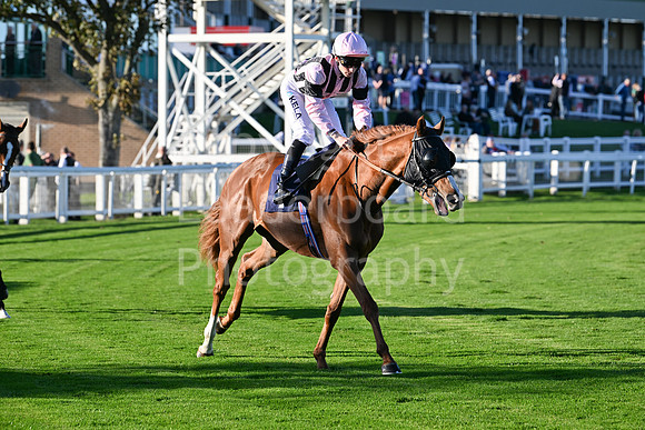 Gt_Yarm_Mon_6th_Oct_2025-144