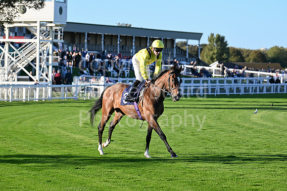 Gt_Yarm_Mon_6th_Oct_2025-149