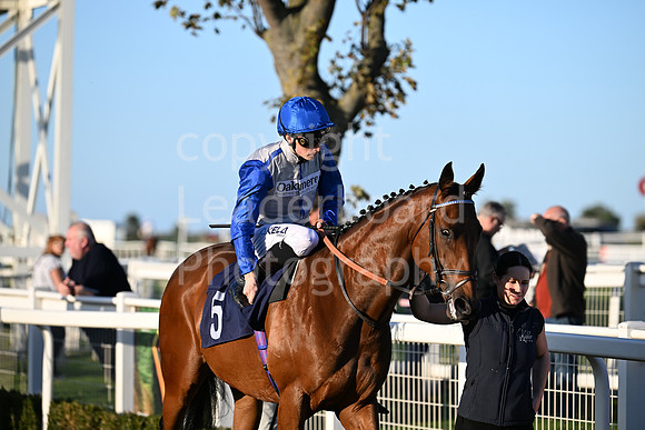 Gt_Yarm_Mon_6th_Oct_2025-189
