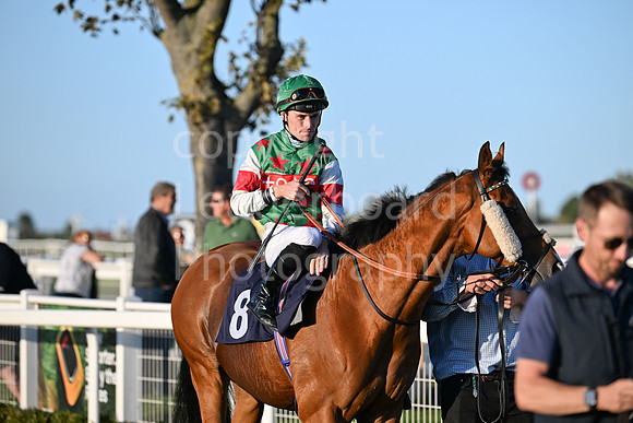 Gt_Yarm_Mon_6th_Oct_2025-192