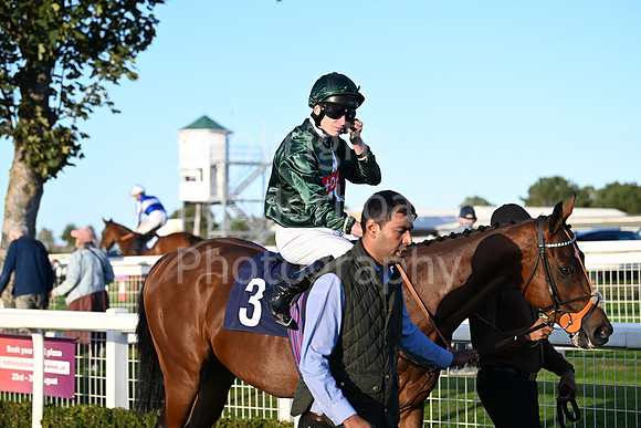 Gt_Yarm_Mon_6th_Oct_2025-196