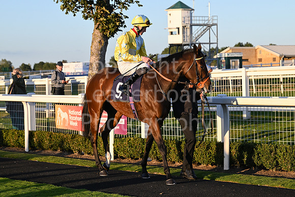 Gt_Yarm_Mon_6th_Oct_2025-228