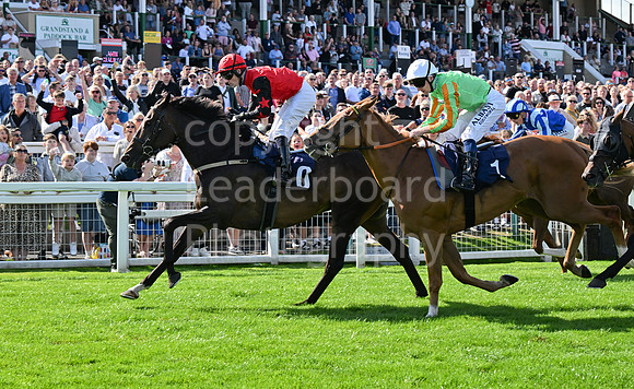 Gt_Yarm_25_Aug_Family_Raceday_2024-117