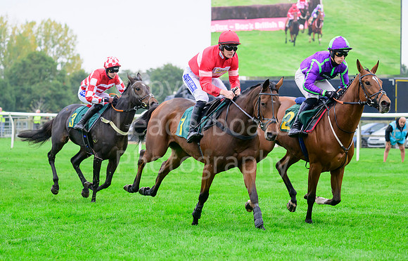 NZ9_5619
