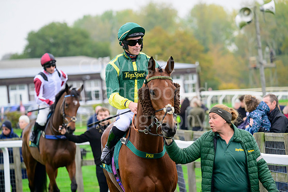 NZ9_5798