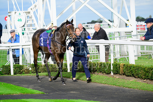 NZ9_6834