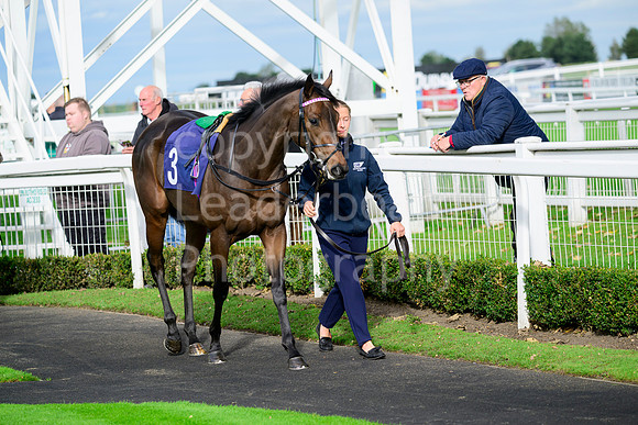NZ9_6835