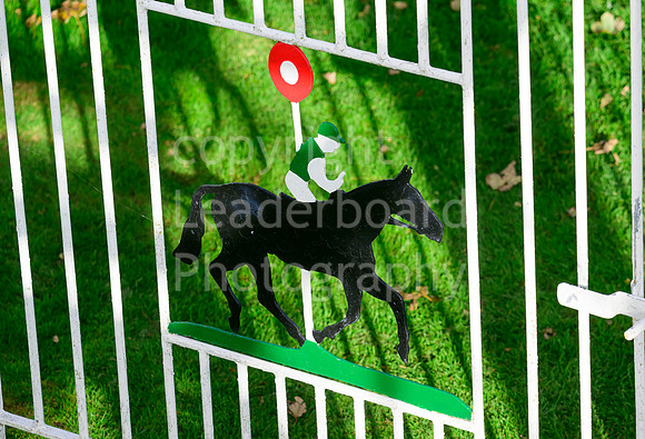 NZ9_7536