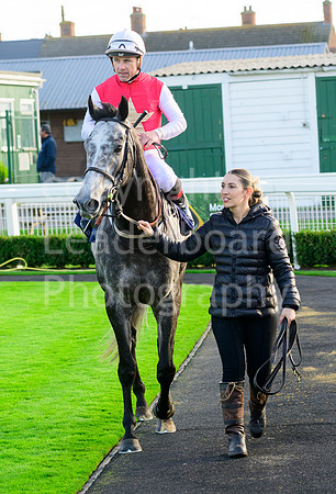 NZ9_7679