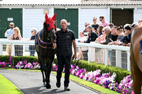Gt_Yarm_24_Aug_2025-2