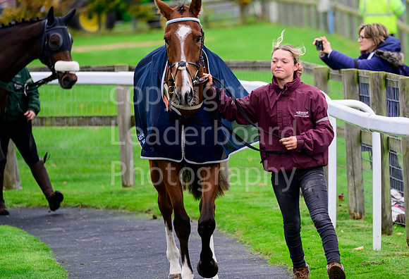 NZ9_8368