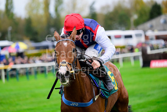 NZ9_9199