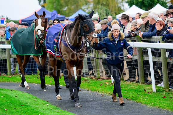 NZ9_9279