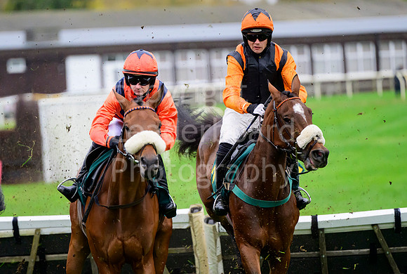 NZ9_9824