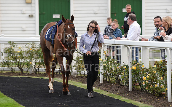 101_GY_Races_20Aug