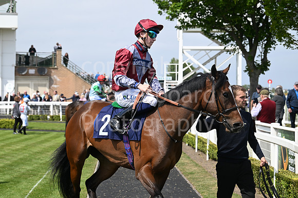 Gt_Yarm_May14_2025-54
