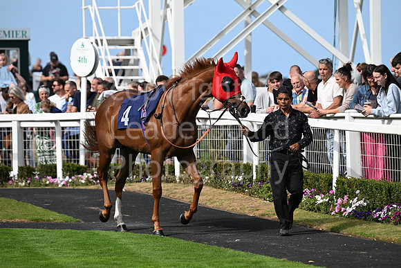 Gt_Yarm_24_Aug_2025-128