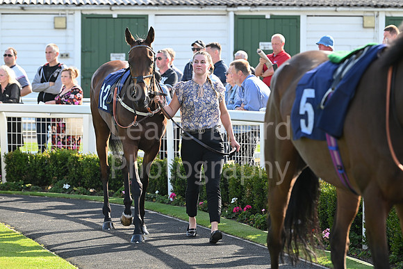 Gt_Yarm_Eastern_Fest_18_Sept_2024-125