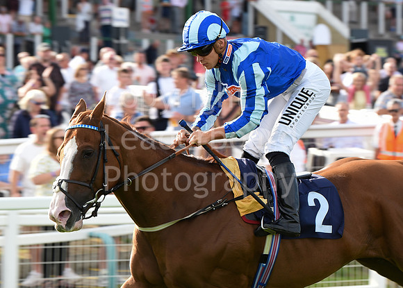 Gt_Yarm_21_Aug_2022-215
