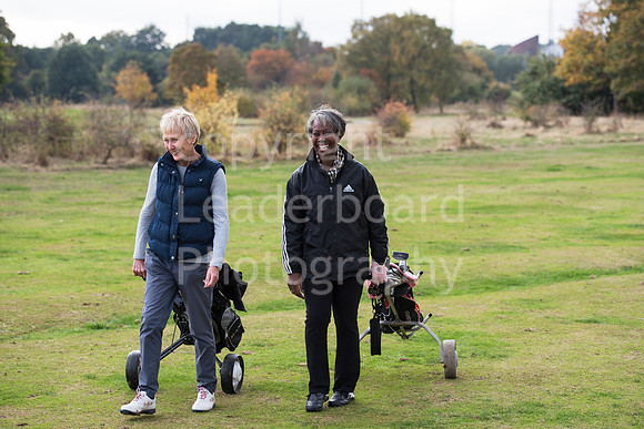 NB_067_Bromley_9_Hole