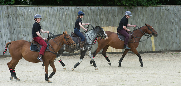 LB_Polo_NFU_Mutual_454