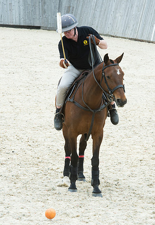LB_Polo_NFU_Mutual_590