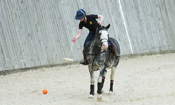 LB_Polo_NFU_Mutual_627