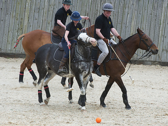 LB_Polo_NFU_Mutual_779
