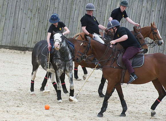 LB_Polo_NFU_Mutual_784