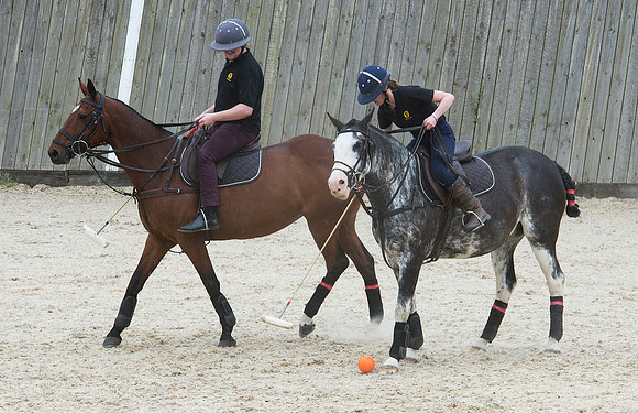LB_Polo_NFU_Mutual_829