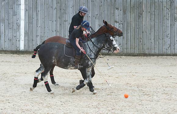LB_Polo_NFU_Mutual_855