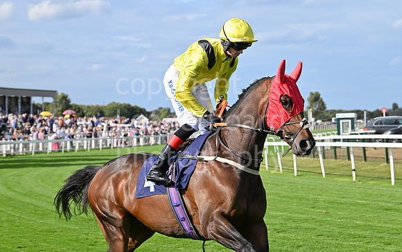 Gt_Yarm_25_Aug_Family_Raceday_2024-139