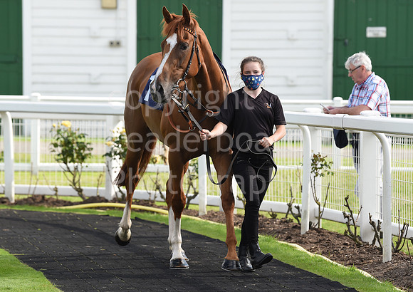 Gt_Yarm_Races_7th_July2021-210