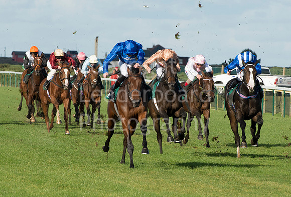LB_GY_races_18_10_2016_0111