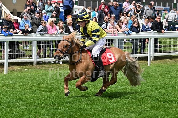 Gt_Yarm_May_27_Shetland_National-34