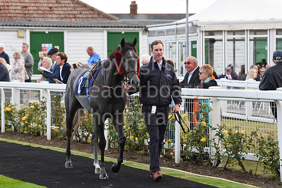 80_GY_Races_20Aug